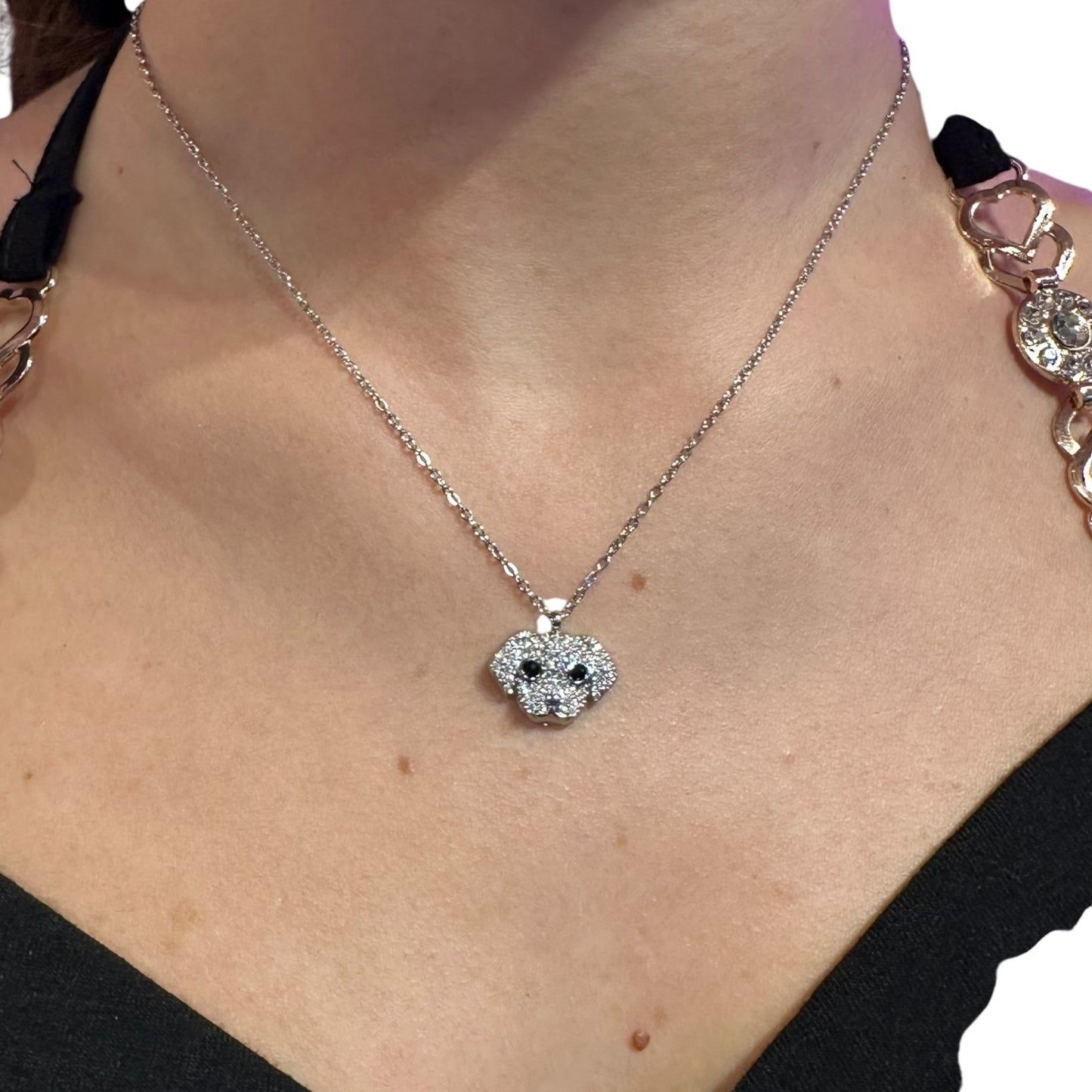 COLLANA ANIMALE CANE ACCIAIO INOX INOSSIDABILE ORO O ARGENTO